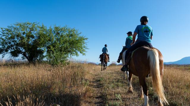 Cheval Saint Jurs Ete