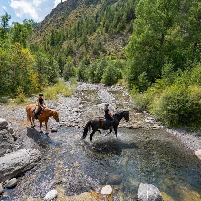 Randonnée à cheval dans le Val d'Allos, Espace Lumière
