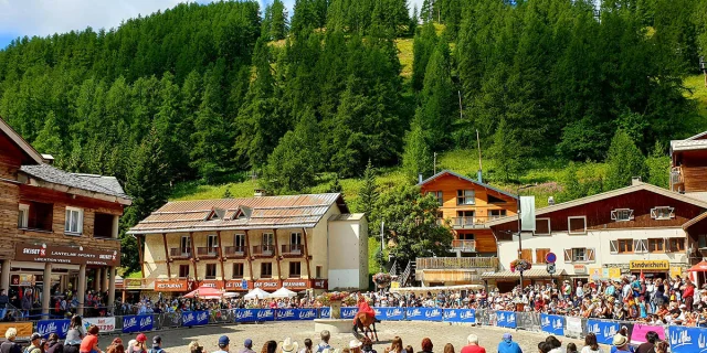 Fete Du Cheval Val Dallos