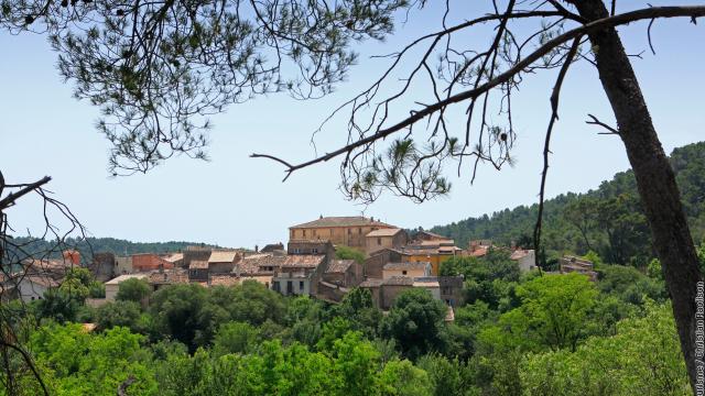 Sillans-la-Cascade village vegetation pin foret