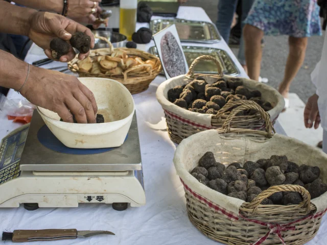 Passeggiata dei tartufi Aups Ph.murtas
