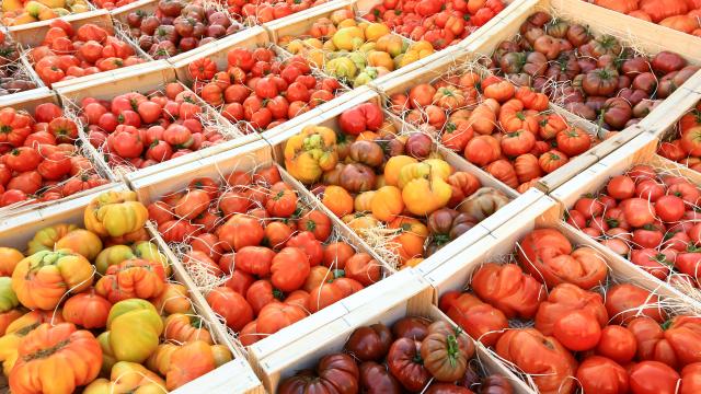 Terroir Marche Draguignan