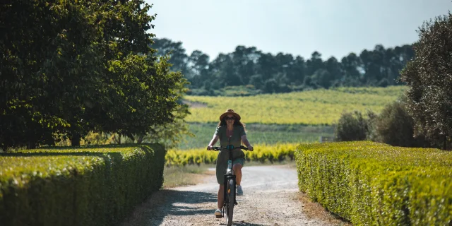 Vin Dracenie Omlv 1 Min