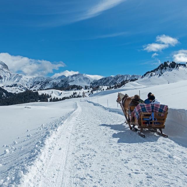 Balade à cheval en calèche dans la neige