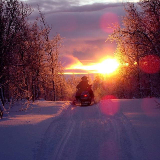 Scooter des neiges au coucher de soleil