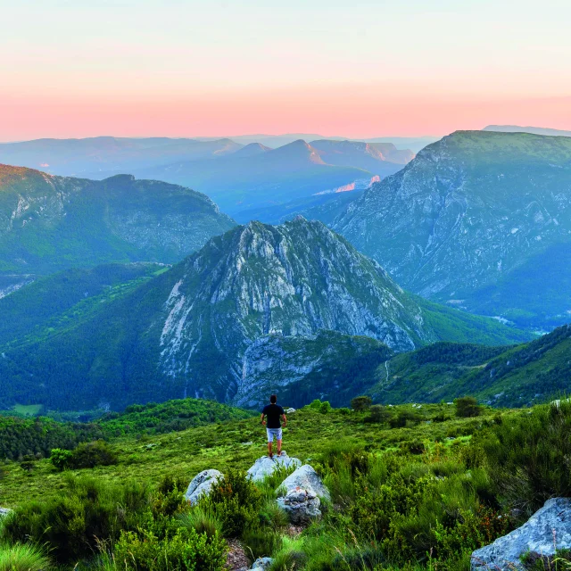 Ad04 Teddy Verneuil Brochure Page 6