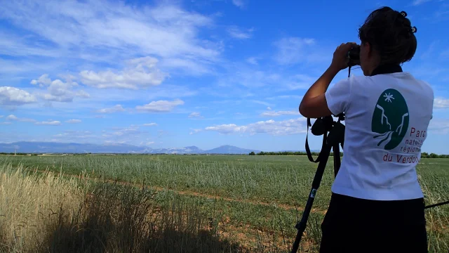 FOTOCAMERA DIGITALE OLYMPUS