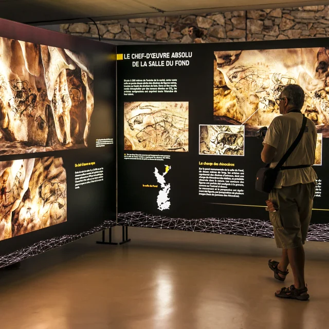 T.vergoz Mus®equinson 046