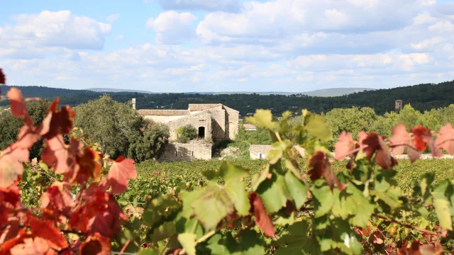 Rando Vignes Credit Tiphaine Etienne